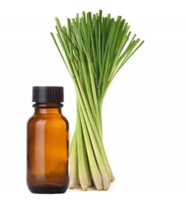 Lemongrass Concentrate Essential Oil | Best for Aromatherapy, Beauty Products & Candle Making