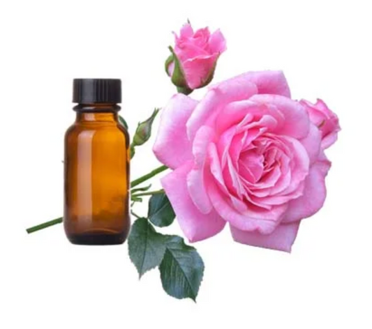 Rose Geranium Concentrate Essential Oil | Best for Aromatherapy, Beauty Products & Candle Making